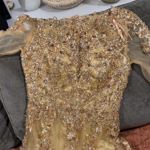 Gold Embellished Evening Gown - Picture 1 of 7